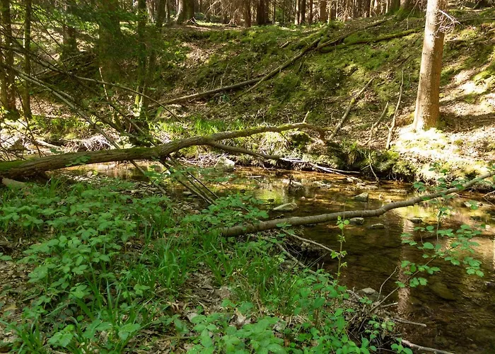 Hotel Manoir De Lebioles 5*